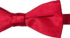 Ascot Schleife 4150400/3